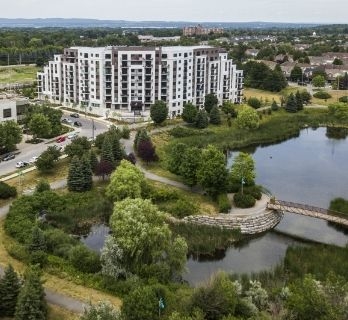 Maintaining and growing our urban forests is essential for a healthy city.